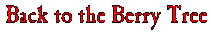 Back to The Berry Tree