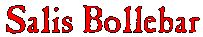 Salis Bollebar
